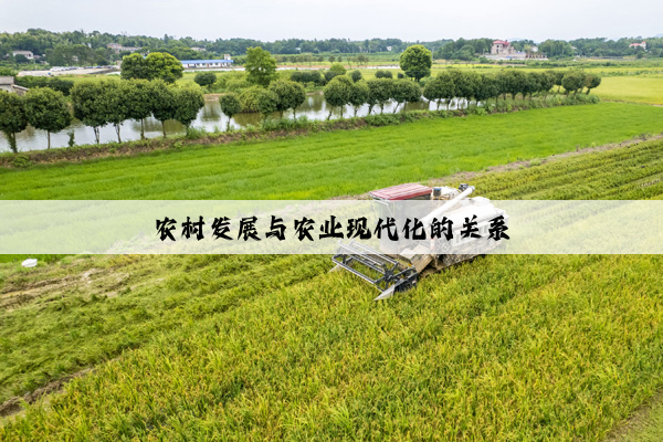 农村发展与农业现代化的关系