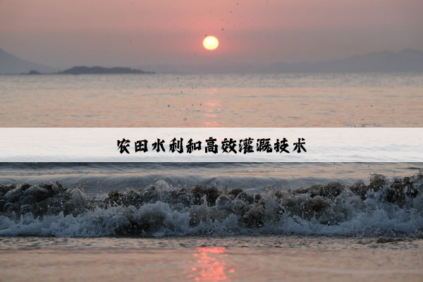 农田水利和高效灌溉技术