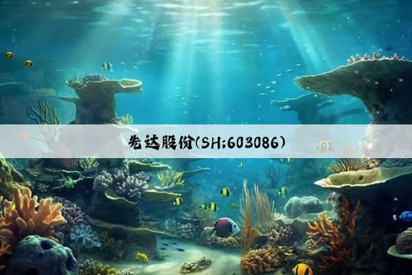 先达股份(SH:603086)